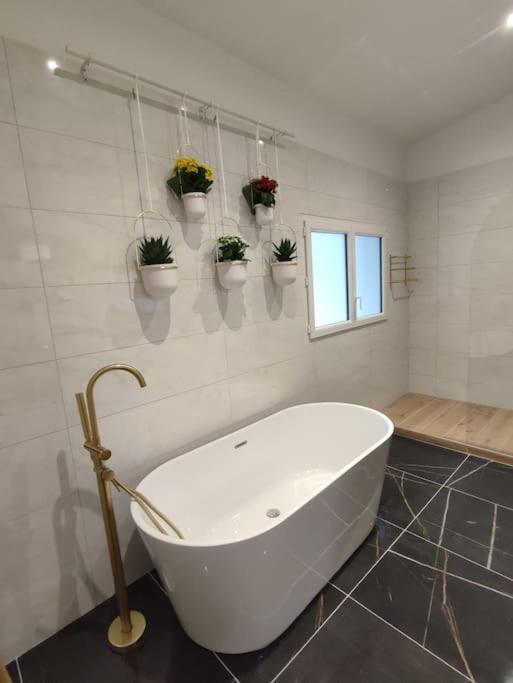 Appartement Le Secret 140M2, Proche Sanctuaires, Climatise Lourdes Eksteriør billede